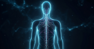 Why Trauma Lives in the Body: A Simple Guide for Survivors