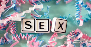 The Top 10 Most Popular Sex Toys of 2026 (And Why They’re Trending)