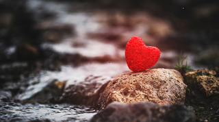 Welcoming You to Our Safe Haven for Mental Health and Wellness