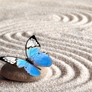 Low Mood & Emotional Flatness