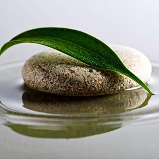 Self Worth and Inner Criticism