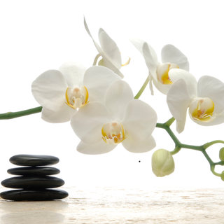 Heartbreak and Emotional Loss