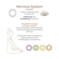 adrien-lastic-harmony-stones-kegel-balls